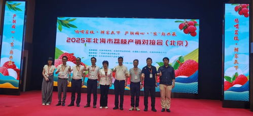 北海荔枝進京拓市場產(chǎn)銷對接助力鄉(xiāng)村振興 北海市在京成功舉辦荔枝產(chǎn)銷對接會